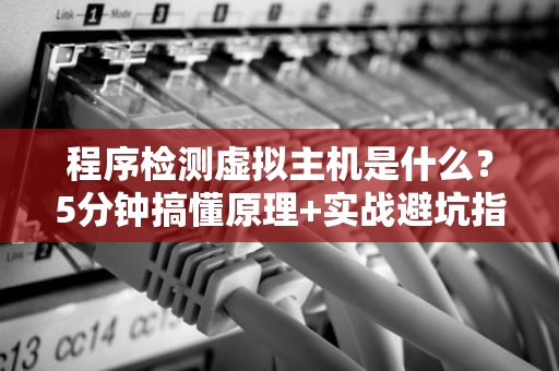 程序检测虚拟主机是什么？5分钟搞懂原理+实战避坑指南！