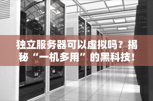 独立服务器可以虚拟吗？揭秘“一机多用”的黑科技！