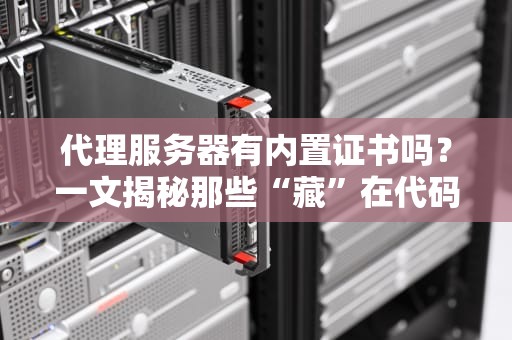 代理服务器有内置证书吗？一文揭秘那些“藏”在代码里的安全小秘密！
