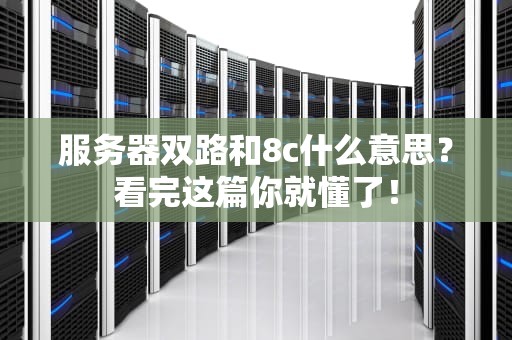 服务器双路和8c什么意思？看完这篇你就懂了！