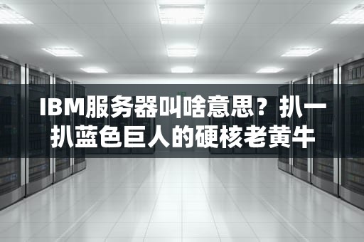 IBM服务器叫啥意思？扒一扒蓝色巨人的硬核老黄牛