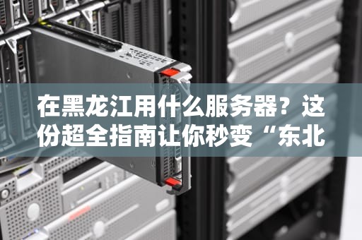 在黑龙江用什么服务器？这份超全指南让你秒变“东北老铁”里的技术扛把子！