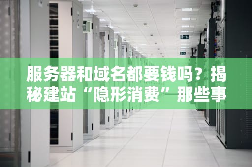 服务器和域名都要钱吗？揭秘建站“隐形消费”那些事儿！