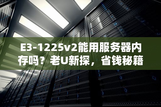 E3-1225v2能用服务器内存吗？老U新探，省钱秘籍大公开！