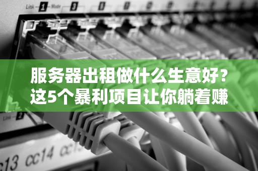 服务器出租做什么生意好？这5个暴利项目让你躺着赚钱！