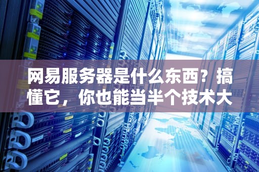 网易服务器是什么东西？搞懂它，你也能当半个技术大佬！