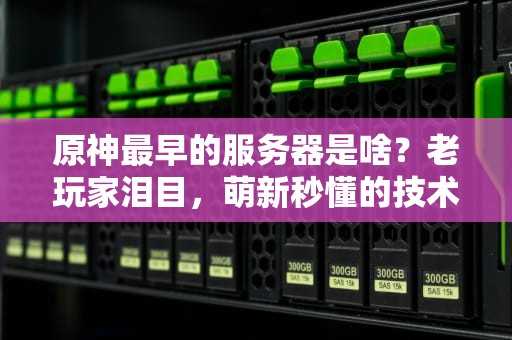 原神最早的服务器是啥？老玩家泪目，萌新秒懂的技术考古指南！