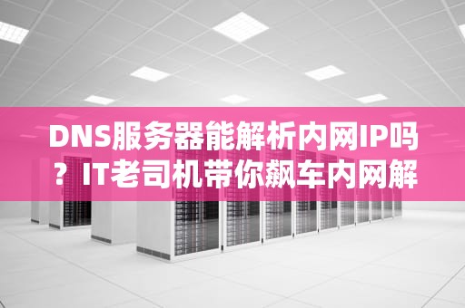 DNS服务器能解析内网IP吗？IT老司机带你飙车内网解析