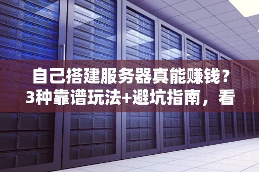 自己搭建服务器真能赚钱？3种靠谱玩法+避坑指南，看完再决定！