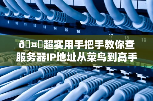 🤖超实用手把手教你查服务器IP地址从菜鸟到高手的终极指南🚀