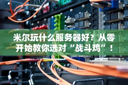 米尔玩什么服务器好？从零开始教你选对“战斗鸡”！（附超详细测评）