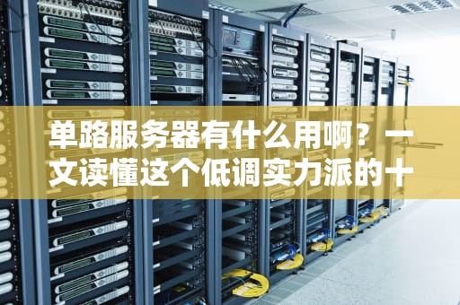 单路服务器有什么用啊？一文读懂这个低调实力派的十八般武艺！