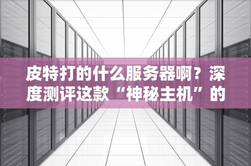 皮特打的什么服务器啊？深度测评这款“神秘主机”的性能与性价比！