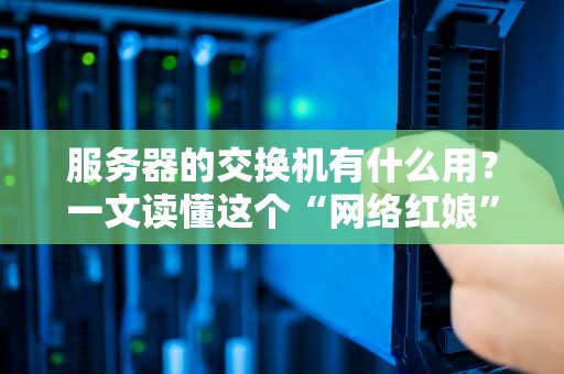 服务器的交换机有什么用？一文读懂这个“网络红娘”的妙用！