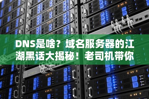 DNS是啥？域名服务器的江湖黑话大揭秘！老司机带你飙车互联网底层逻辑