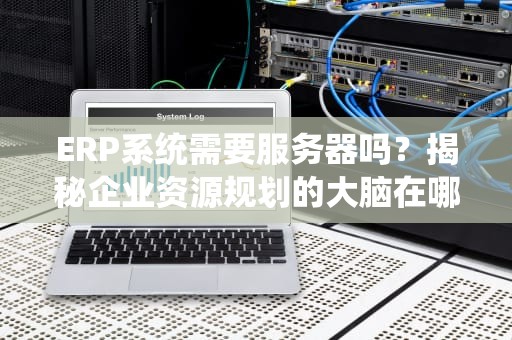 ERP系统需要服务器吗？揭秘企业资源规划的大脑在哪里运行