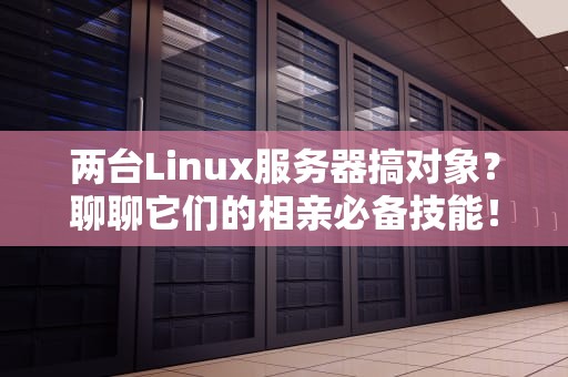 两台Linux服务器搞对象？聊聊它们的相亲必备技能！