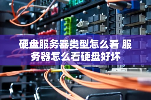 硬盘服务器类型怎么看 服务器怎么看硬盘好坏