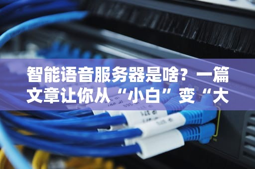 智能语音服务器是啥？一篇文章让你从“小白”变“大神”！