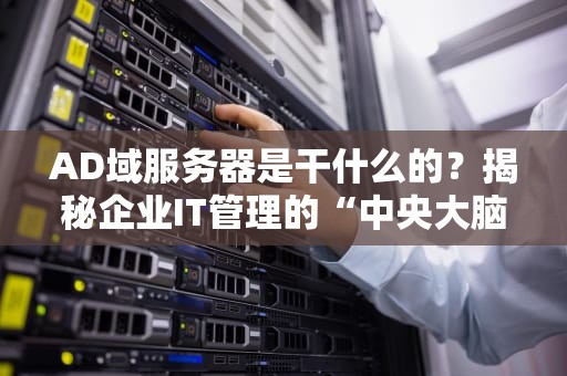 AD域服务器是干什么的？揭秘企业IT管理的“中央大脑”