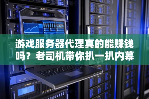 游戏服务器代理真的能赚钱吗？老司机带你扒一扒内幕！