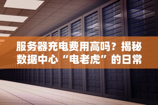 服务器充电费用高吗？揭秘数据中心“电老虎”的日常开销！