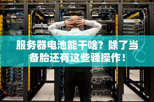 服务器电池能干啥？除了当备胎还有这些骚操作！