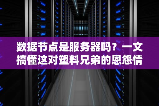 数据节点是服务器吗？一文搞懂这对塑料兄弟的恩怨情仇！