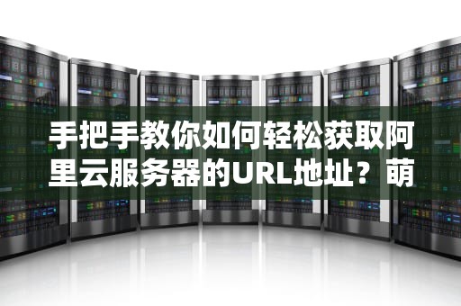 手把手教你如何轻松获取阿里云服务器的URL地址？萌新也能秒懂！