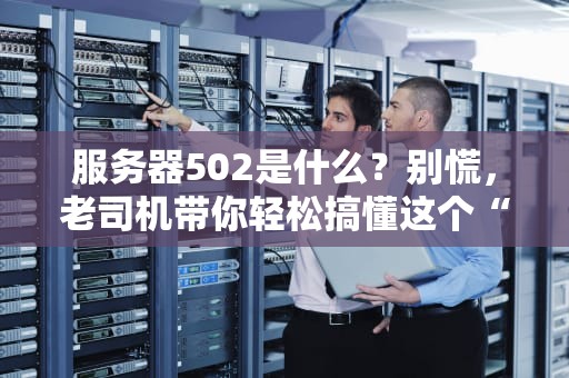 服务器502是什么？别慌，老司机带你轻松搞懂这个“暴躁小错误”