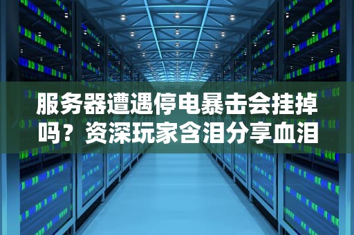 服务器遭遇停电暴击会挂掉吗？资深玩家含泪分享血泪史