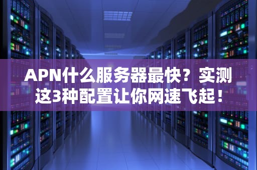 APN什么服务器最快？实测这3种配置让你网速飞起！
