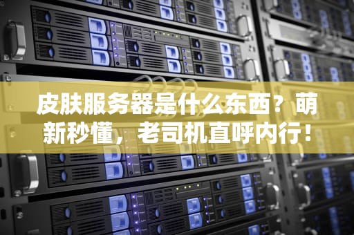 皮肤服务器是什么东西？萌新秒懂，老司机直呼内行！