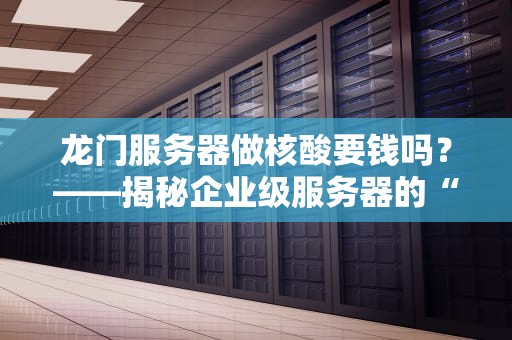 龙门服务器做核酸要钱吗？——揭秘企业级服务器的“健康检测”成本
