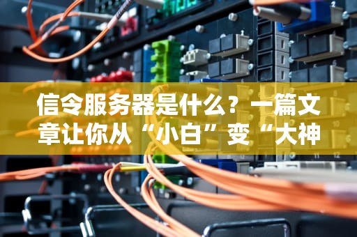信令服务器是什么？一篇文章让你从“小白”变“大神”（附实战案例）