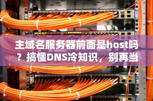 主域名服务器前面是host吗？搞懂DNS冷知识，别再当网络小白啦！