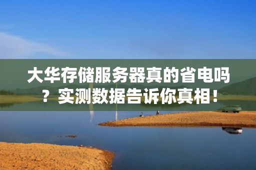 大华存储服务器真的省电吗？实测数据告诉你真相！