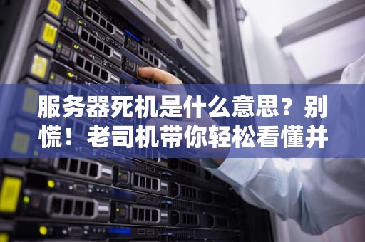 服务器死机是什么意思？别慌！老司机带你轻松看懂并解决