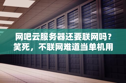 网吧云服务器还要联网吗？笑死，不联网难道当单机用？
