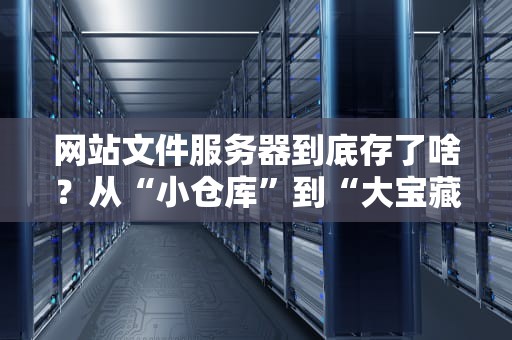 网站文件服务器到底存了啥？从“小仓库”到“大宝藏”的全面解析！