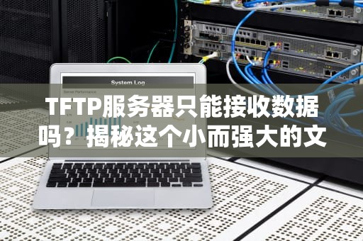 TFTP服务器只能接收数据吗？揭秘这个小而强大的文件传输工具！
