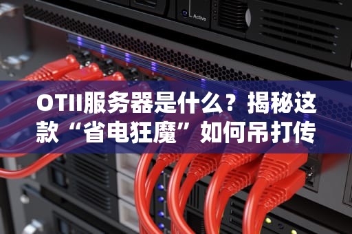 OTII服务器是什么？揭秘这款“省电狂魔”如何吊打传统服务器！