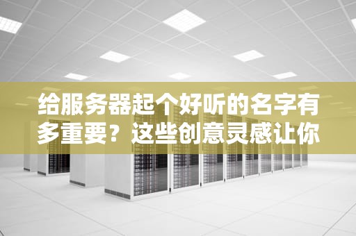 给服务器起个好听的名字有多重要？这些创意灵感让你秒变“取名大师”！