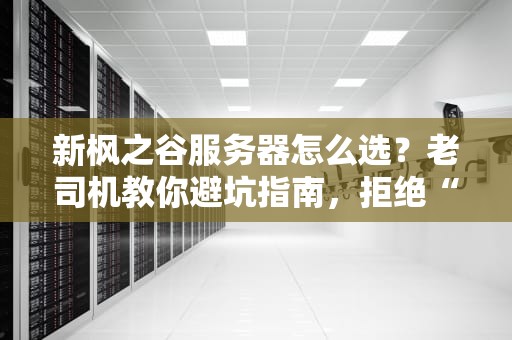新枫之谷服务器怎么选？老司机教你避坑指南，拒绝“延迟”和“鬼服”！