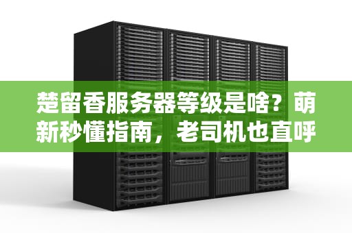 楚留香服务器等级是啥？萌新秒懂指南，老司机也直呼内行！