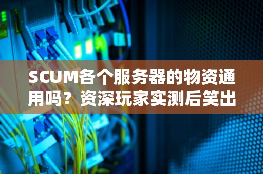SCUM各个服务器的物资通用吗？资深玩家实测后笑出猪叫