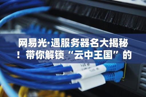 网易光·遇服务器名大揭秘！带你解锁“云中王国”的隐藏彩蛋