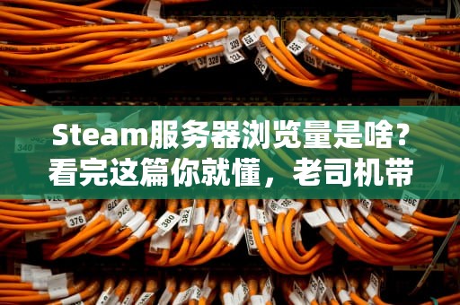 Steam服务器浏览量是啥？看完这篇你就懂，老司机带你飙车！