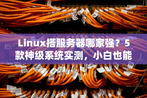 Linux搭服务器哪家强？5款神级系统实测，小白也能秒变运维大佬！