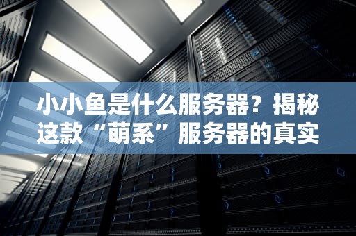 小小鱼是什么服务器？揭秘这款“萌系”服务器的真实实力！
